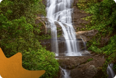 Parque Nacional da Tijuca